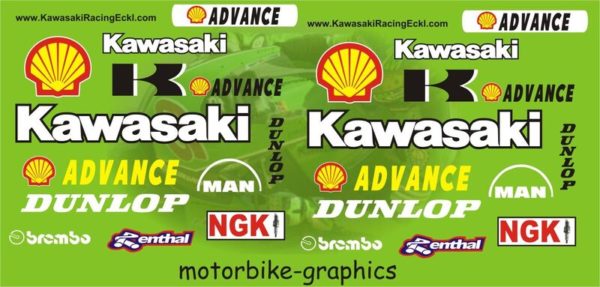 Kawasaki Race Shell New