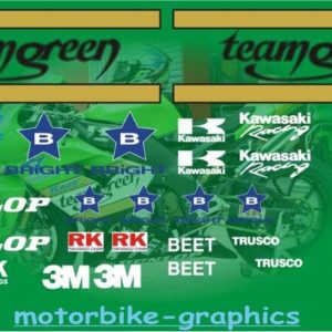 Kawasaki Teamgreen 04