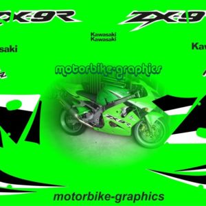 Kawasaki ZX-9R 2002 Full Decal Set