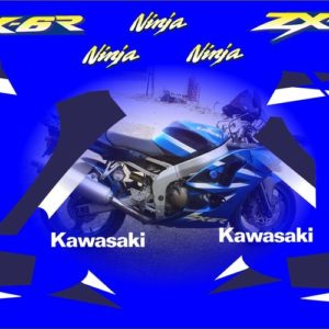 Kawasaki ZX6R 2001 Blue